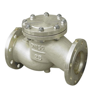 ����ֹ���y