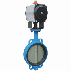 ��ӌ��A�r�z���y