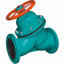 ֱ��ʽ�r�z��Ĥ�y