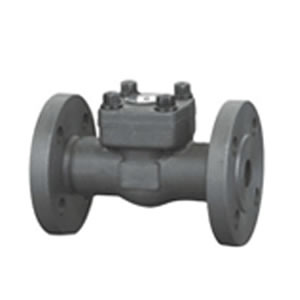 法蘭端止回閥 法蘭端止回閥