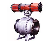 ��ú��ж�����y