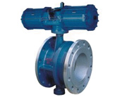 �����s���y