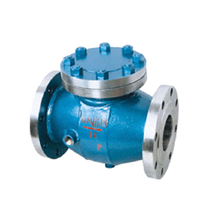 ����ʽ����ֹ���y