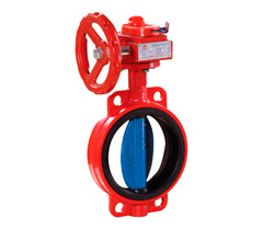 ����������̖���y