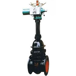 �͉���ī�T�F늄��l�y