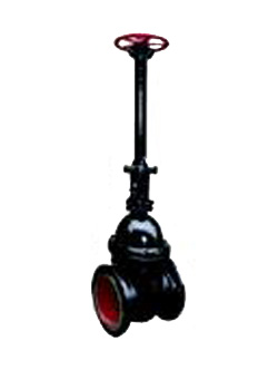 ���L�U�T�F�l�y