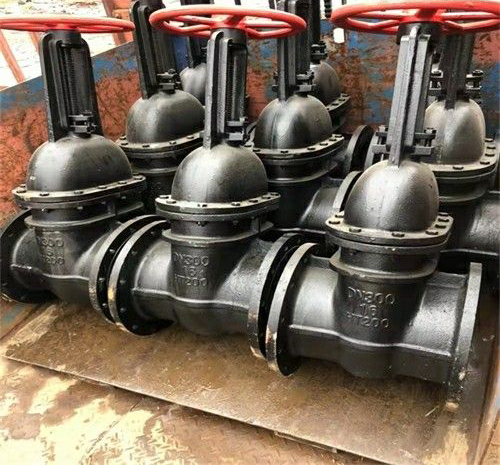 �~о�T�F�l�y