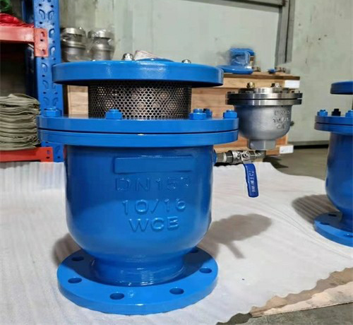 卷簾式復(fù)合排氣閥 卷簾式復(fù)合排氣閥